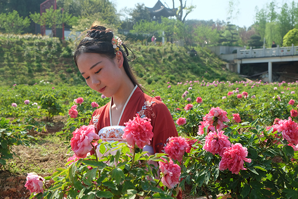 花田厝看花护花人.JPG