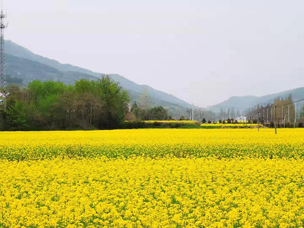 木兰川.jpg