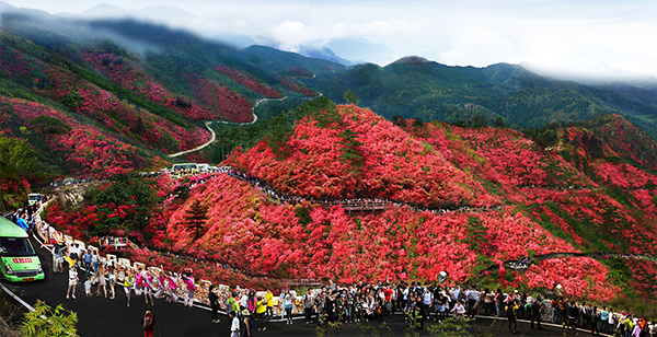浩瀚云雾山.jpg