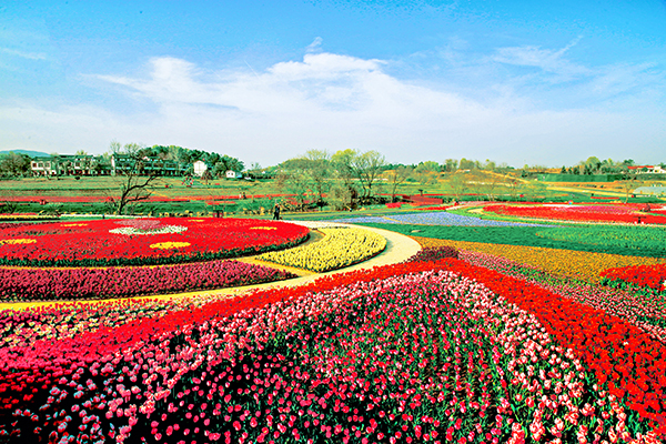 花乡全景.jpg