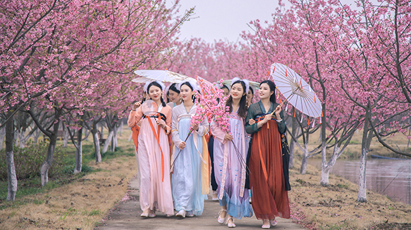 特色樱花园13.jpg