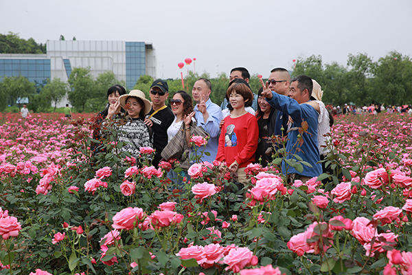 玫瑰季旅游.JPG