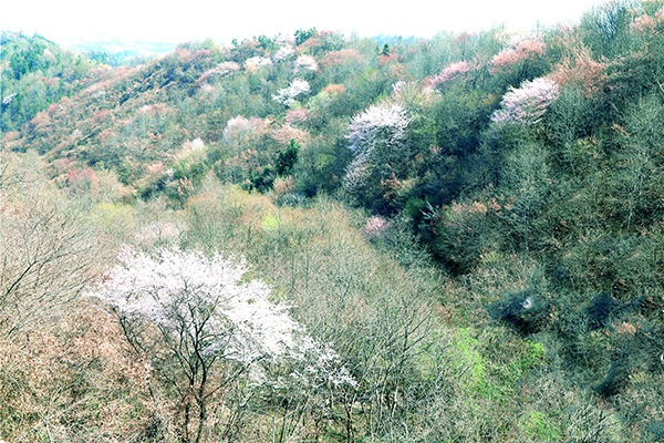 1S0A0344.JPG