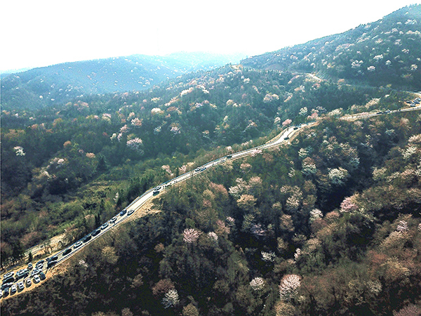 DJI_0216.JPG
