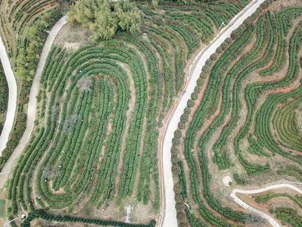 DJI_0269.JPG