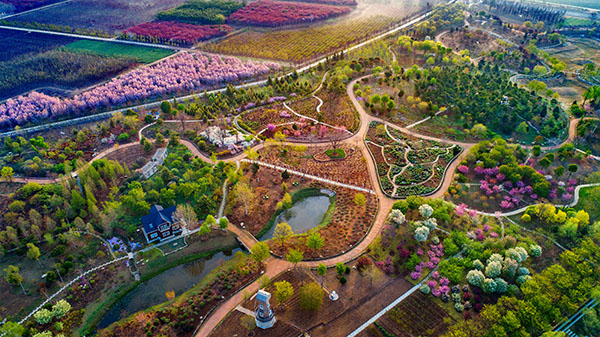 多彩植物园副本.jpg