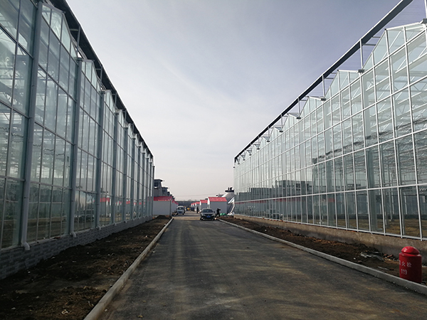 乘南现代农业科技示范园园区一览.jpg