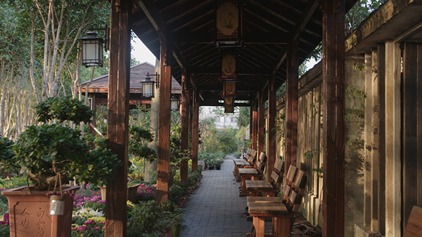 3、陶宅建筑.jpg