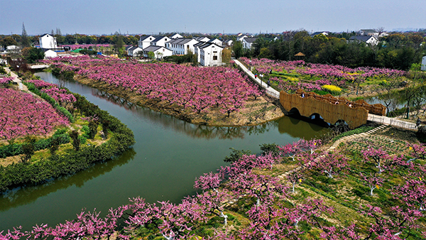 1、吴房村全景.jpg