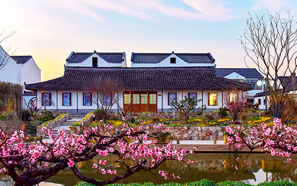 2、吴房村桃花.jpg