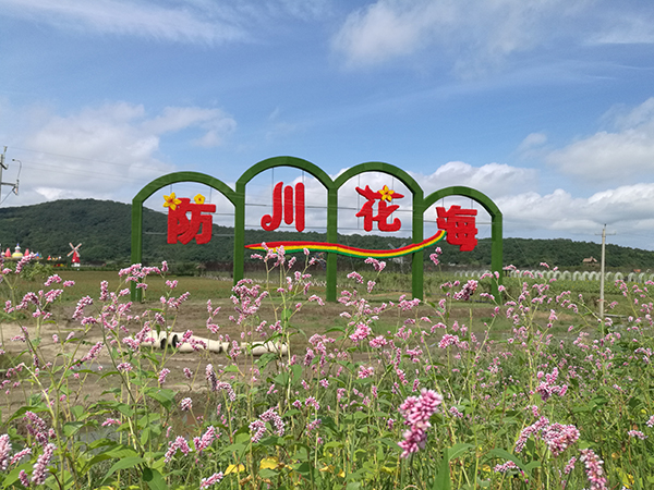 图片5：防川花海.jpg