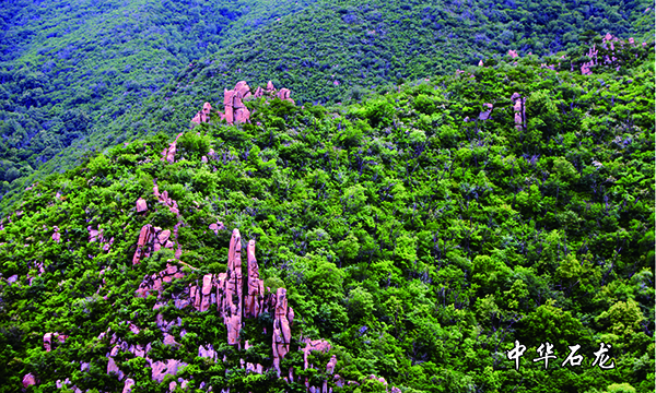 大黑山风景区——中华石龙.jpg