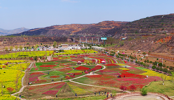 郁金香花海.jpg