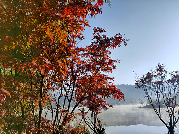 池边风景1.jpg