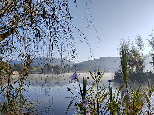 池边风景3.jpg