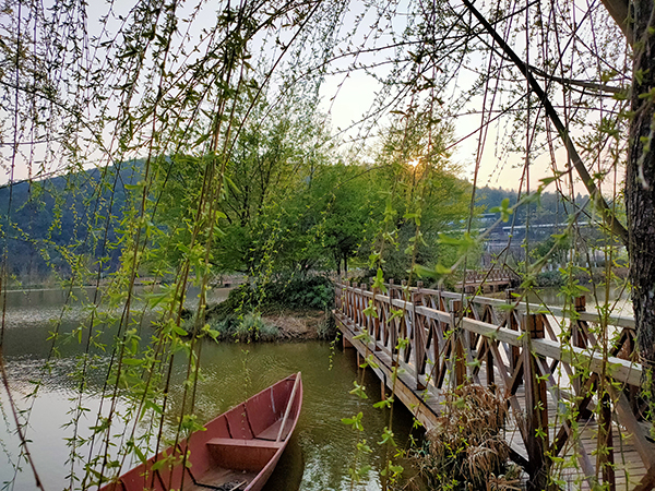 池边风景4.jpg