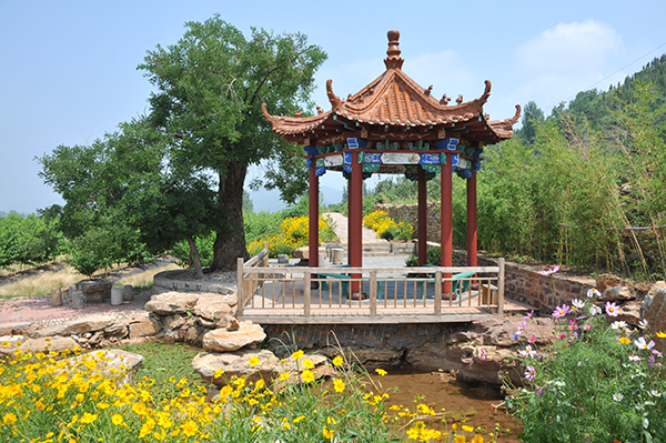 刘宗文  梅家坡子孙树.jpg