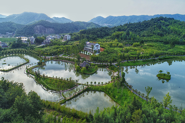 鲁家俯瞰图.JPG