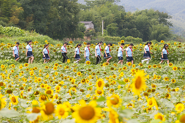 余村百亩花海.JPG