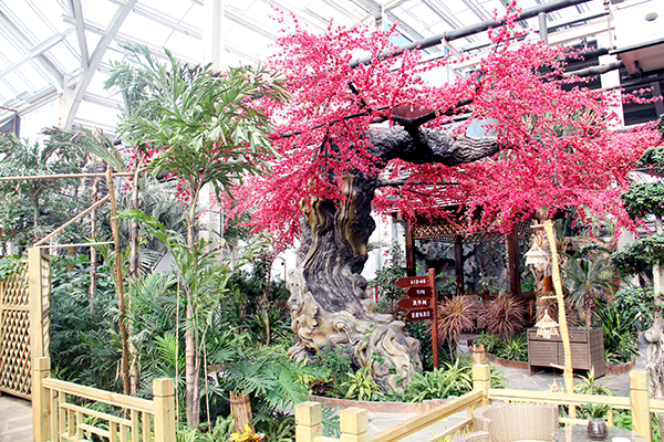 生态餐厅门口.JPG