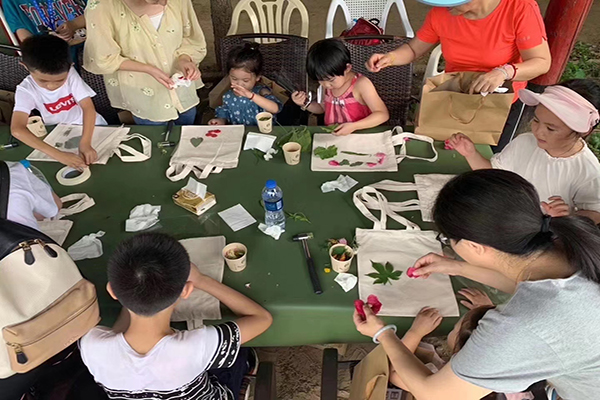 图片3：摩登家庭农场DIY彩绘（材料农场植物）.jpg