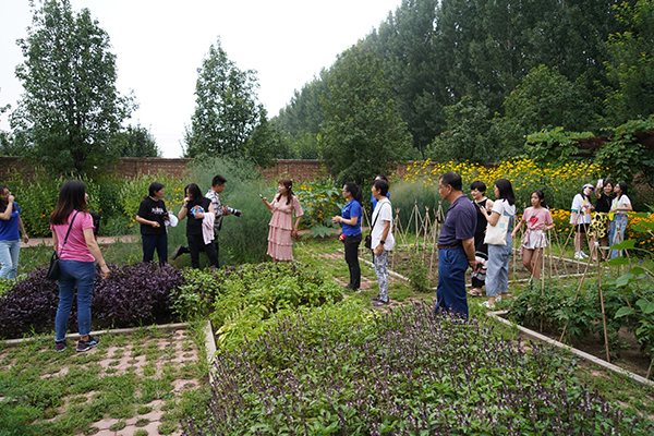 图片12 北京胖龙花木园艺生态采摘菜园.jpg