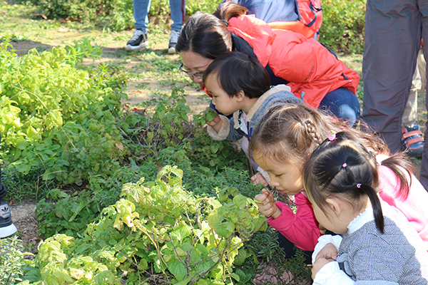 图片16北京胖龙花木园艺 沉浸式自然体验.JPG