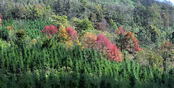 万重山3.JPG