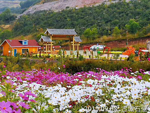 花海.jpg