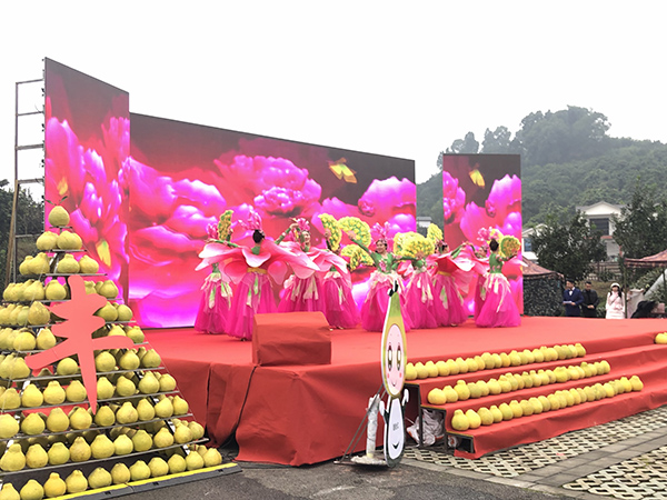 8.柚子节节目表演.JPG