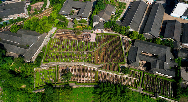 12.先市酱油公司鸟瞰图.png