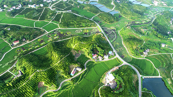1.田园综合体-田园风光.JPG