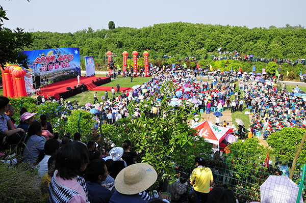 10.金色杨柳-乡村音乐会.jpg