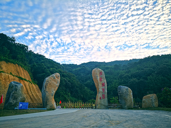 茶园景区大门.jpg