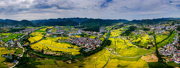 龙凤山下赏秋黄.jpg