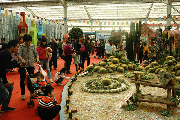 4、沙漠植物景观区.JPG