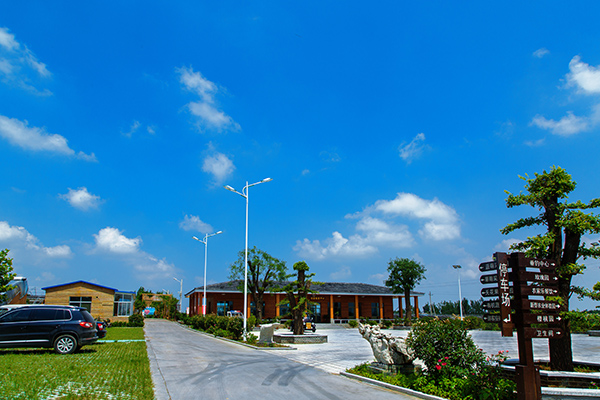 1、青州市鲁威果蔬合作社基地外景.jpg