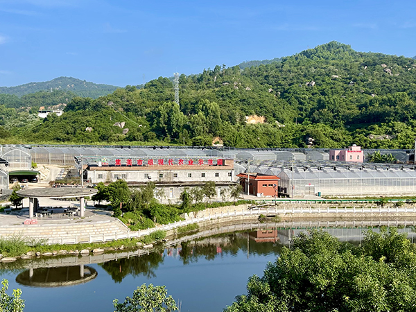 2、文源山场地.jpg