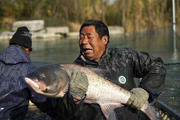 潘安湖冬捕3.jpg