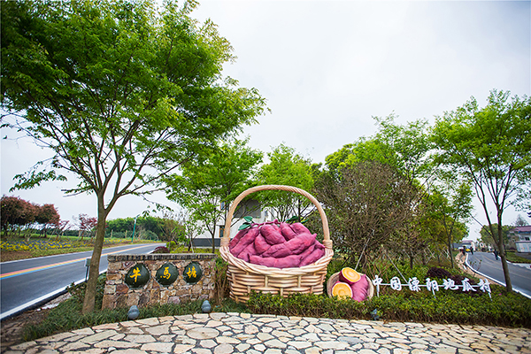 图片7：江苏省溧阳市牛马塘村村口一览.jpg