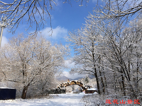 1.冬季雪景.png