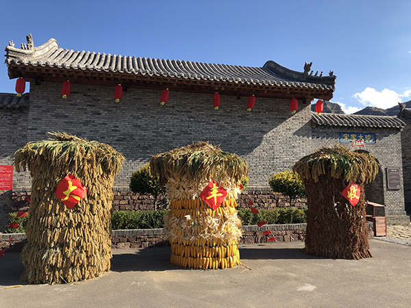 丰收稻谷.JPG
