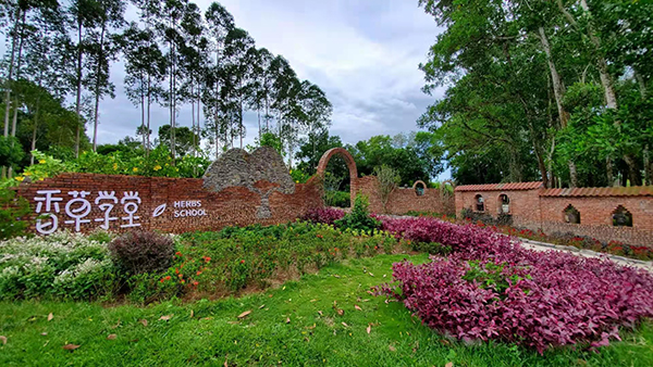 6香草学堂.jpg