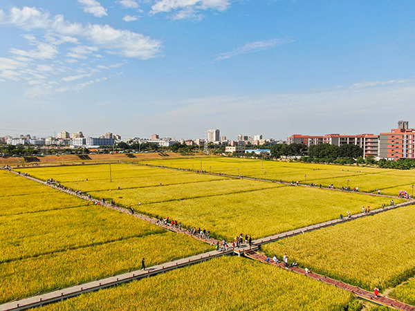 DJI_0388.jpg