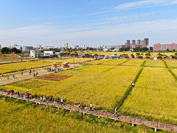 DJI_0401.jpg