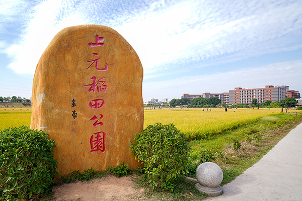 DSC01246.jpg