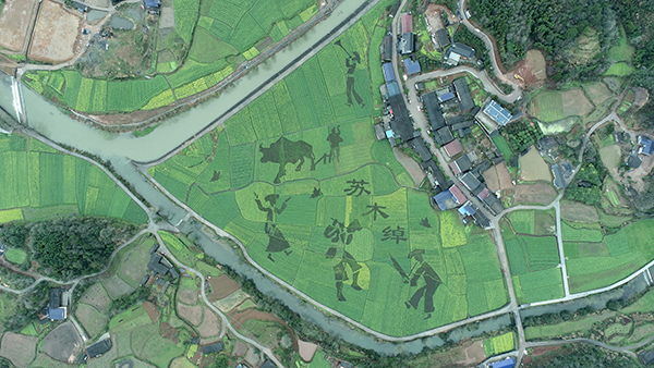 10-1红土坪·栗子坪村油菜花.jpg