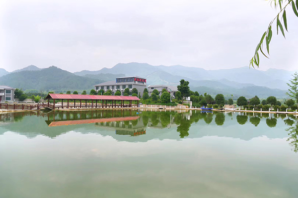 休闲垂钓.jpg