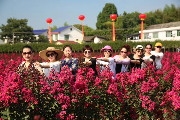 紫薇花海.jpg