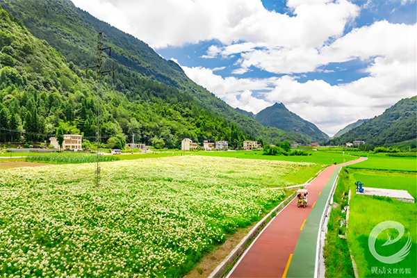 1马倌屯村特色旅游花卉观光道.png